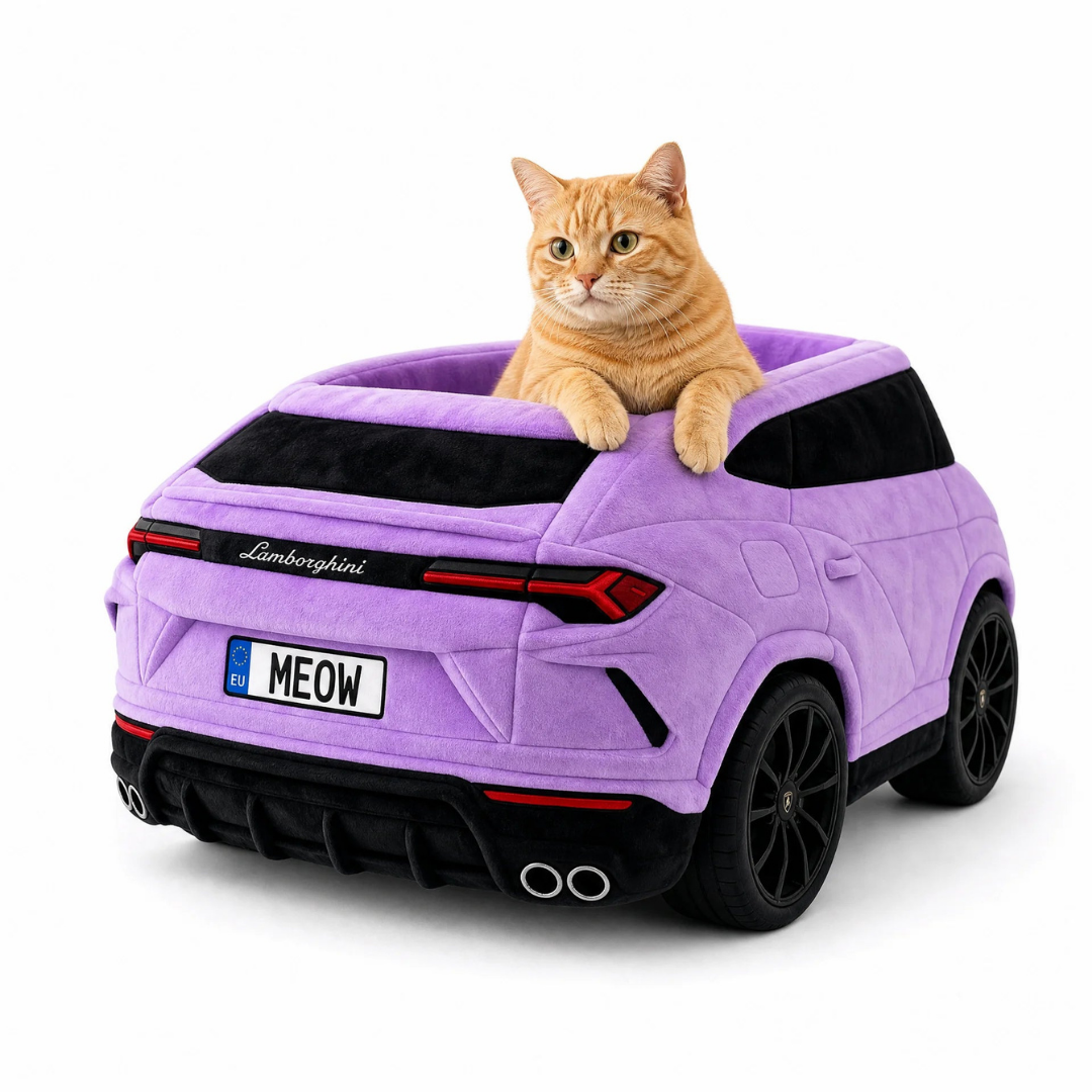 The WallNest™ Car Beds for Cats