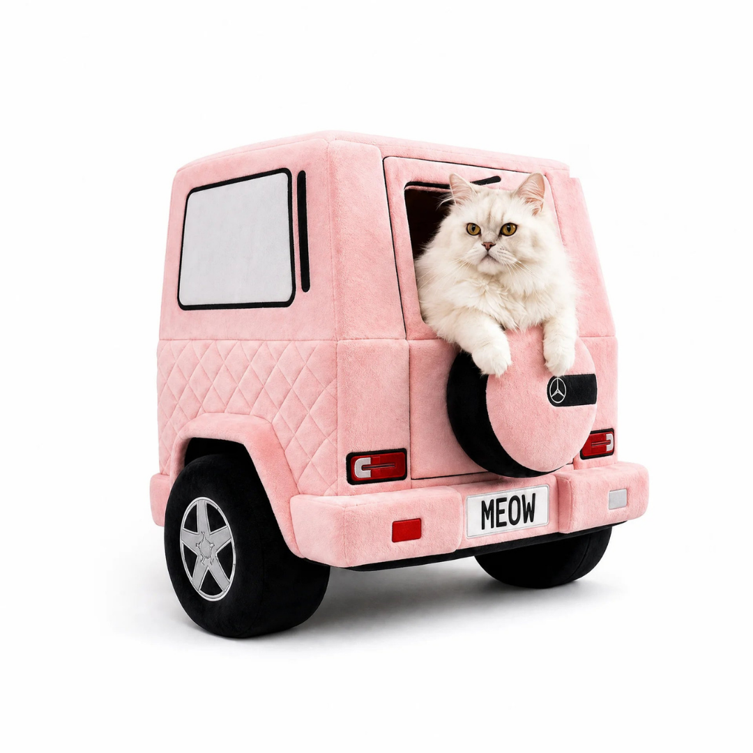 The WallNest™ Car Beds for Cats